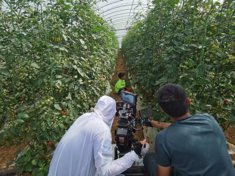 叙永县产品宣传视频拍摄公司进阶指南，助力品牌抢占传播高地